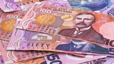 NZ financial results for Synnex, Sony, Google, Acer and Imation