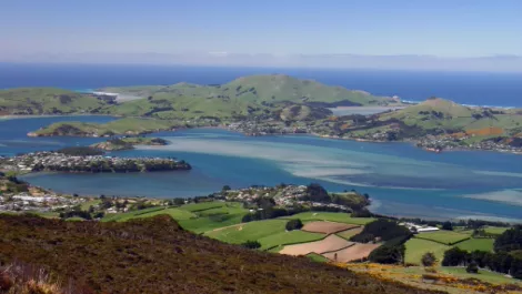 Dimension Data opens Dunedin office