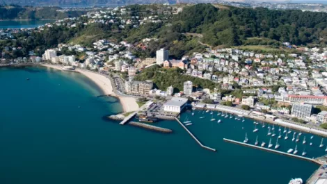 Wellington makes its high-tech mark internationally