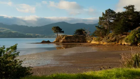 Free WiFi hotspots for Kiwi holidaymakers