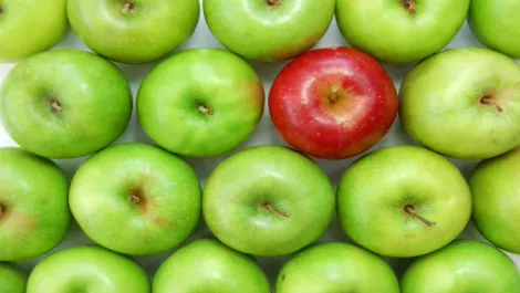 iFruit costs $1,700 in classic Apple con