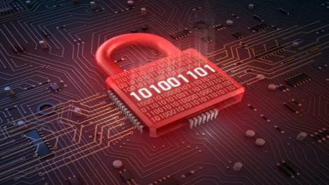 Weak govt systems secured following report