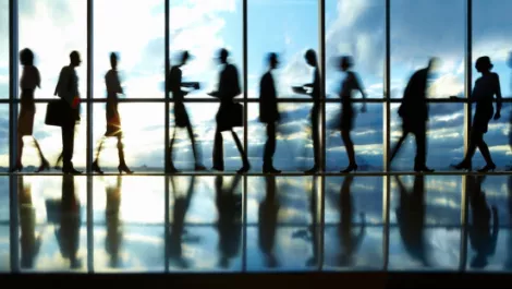 NetSuite commits to cloud through NZ channel