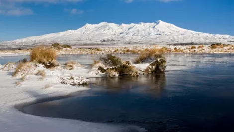Google refreshes NZ Street View