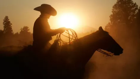 Are you a digital cowboy or cautious connector?