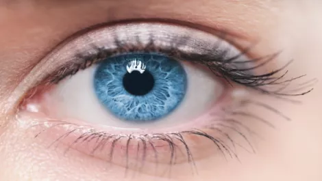 Eyes on the prize... Kiwi firm wins Health App award