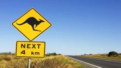 Mako Networks expands Oz market presence with Telstra deal