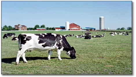 Get real on rural broadband