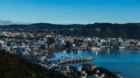 Capital-gains as ICT pros earn more in Wellington...