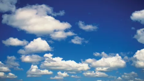 Cloud carrying industry “forces”