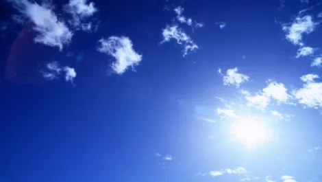 At scale: doing business in the cloud