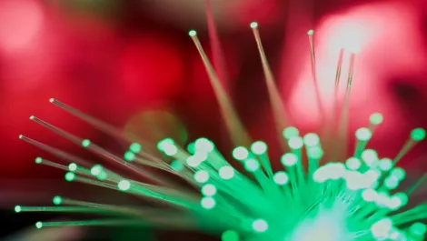 Labour questions UFB prospects after Pacific Fibre closure