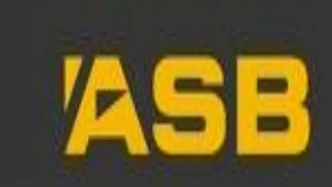 How much has Fluke Network's WAN tool saved ASB?
