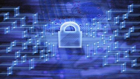 Palo Alto Networks and VMware unite in cyber crime fight