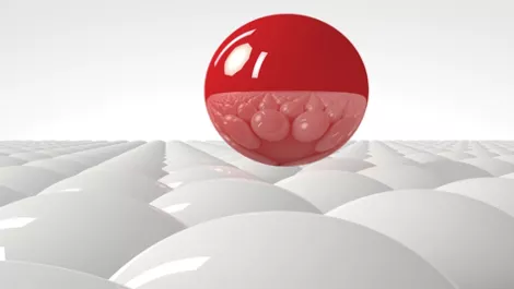 Separating SDN hype from reality: A user's view