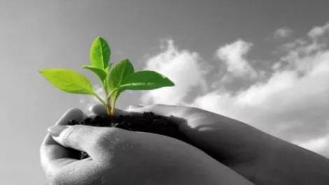 Green innovations for the future