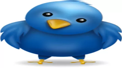 New to Twitter. What now?