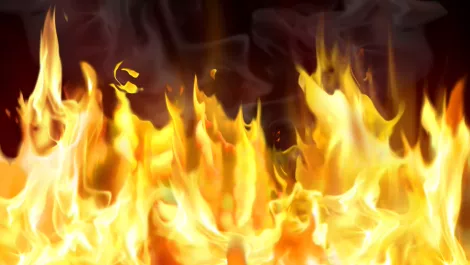 Renaissance rising up through the ashes