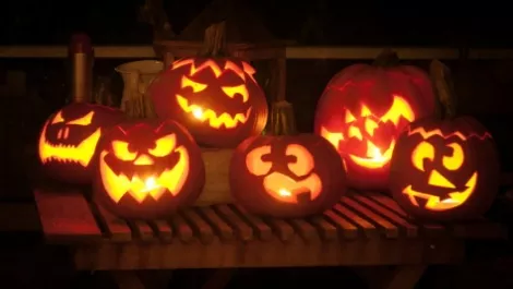 Super creeps and popcorn - scary movies to watch this Halloween