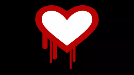 Heartbleed Bug - What you need to know…