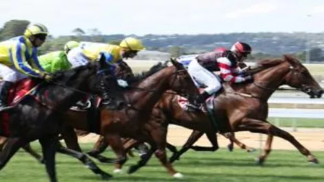 Gen-i wins NZ Racing Board contract by a nose