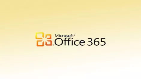 Microsoft Office 365 reduces cost, boosts flexibility for Wellington consultants