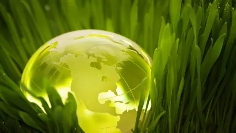 Cloud as foundation for sustainable organisations