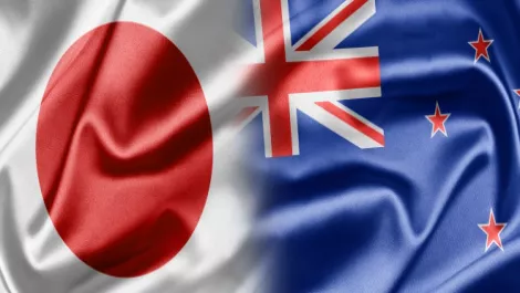 Japanese and NZ students to become virtual buddies