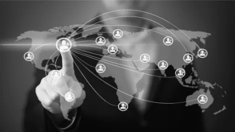 Kiwi company dials up global market