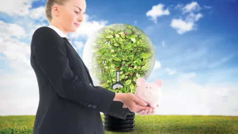 Sustainability to drive business growth