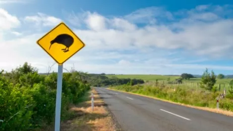 Wellington pitched as high tech capital to expat Sydneysiders