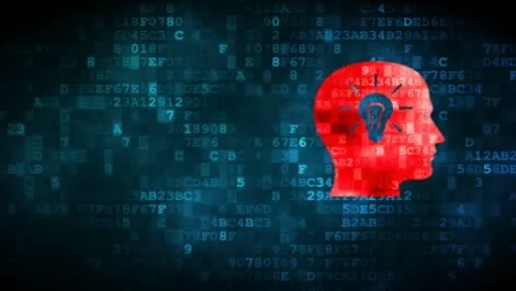 Fortinet, Ingram Micro bulk up Kiwi resources ready for NSE launch
