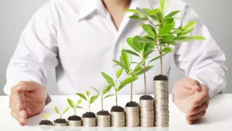 Trilogy sees FY profit more than trebling as Aust unit improves, Ecoya makes money
