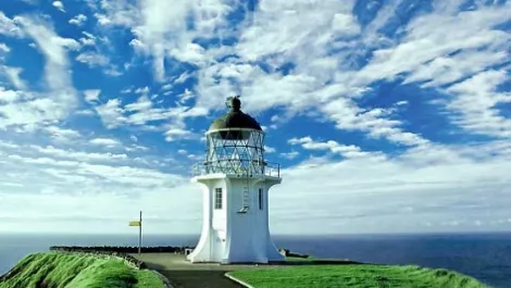 Northland Inc welcomes announcements on ultra-fast broadband rollout