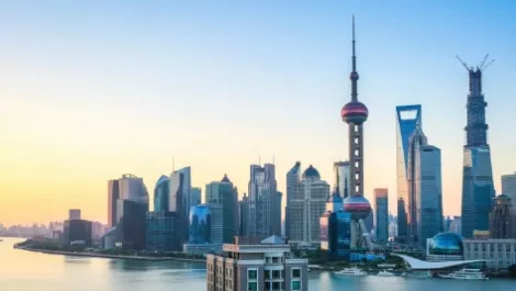 NZ primary industry firms open Chinese marketing office