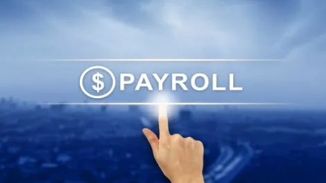 Xero Payroll: How it's tracking