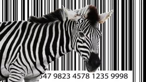 Zebra adds support and managed service offerings