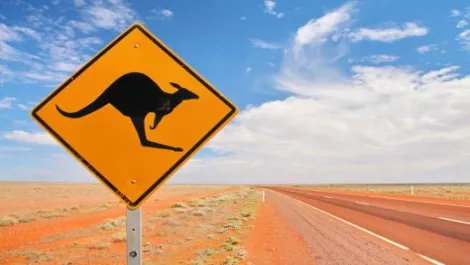 Windows 10 lands in Australia - will you upgrade?