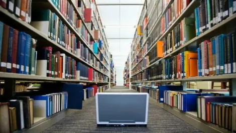 Hutt City Council calls on Dell SonicWall for Wi-Fi security