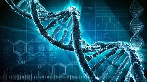 3D tech helps Kiwi scientists understand more about genes