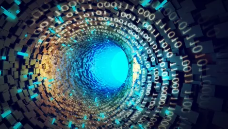 More Kiwi business accessing Govt data