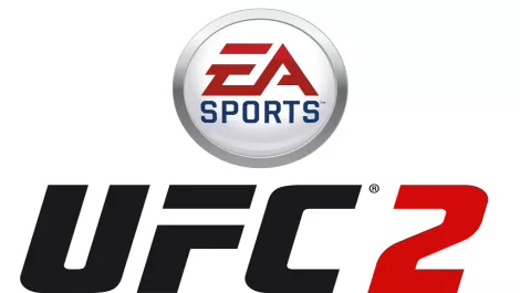 Developer interview: Brian Hayes Creative Director for UFC 2