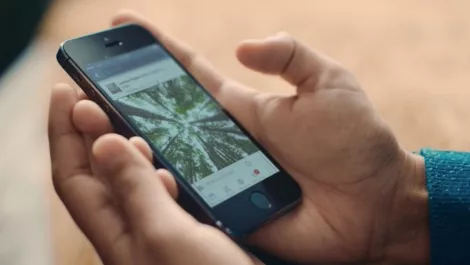 Facebook launches alternative text function for the blind