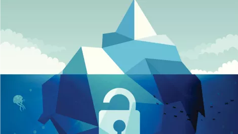 Cybersecurity risk-management vital, says expert