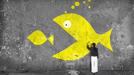 Brocade snaps up Ruckus, looks to dominate networking space