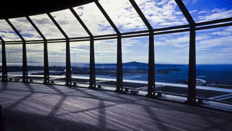 Auckland IT job market report: Money still reigns, but intangibles rate highly