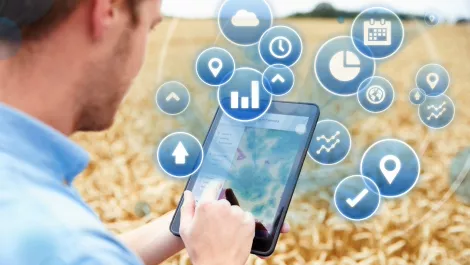 Spark network provides new IoT wireless solution for farmers