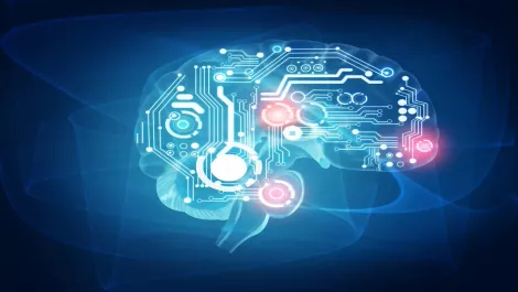 Cognitive systems industry driving more knowledge into IT learning