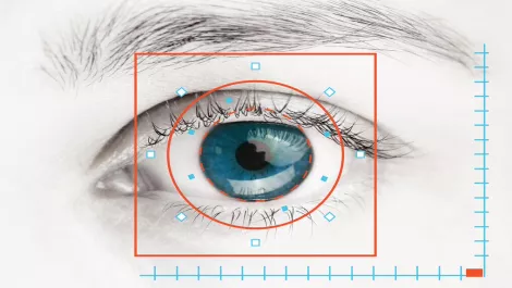 NEC Australia & NT Police facial recognition take out top innovation award
