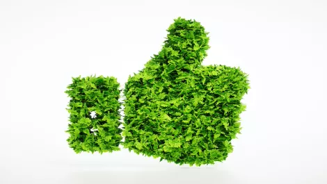 Singapore & Japan data centers feature on Green500 for efficient cooling tech